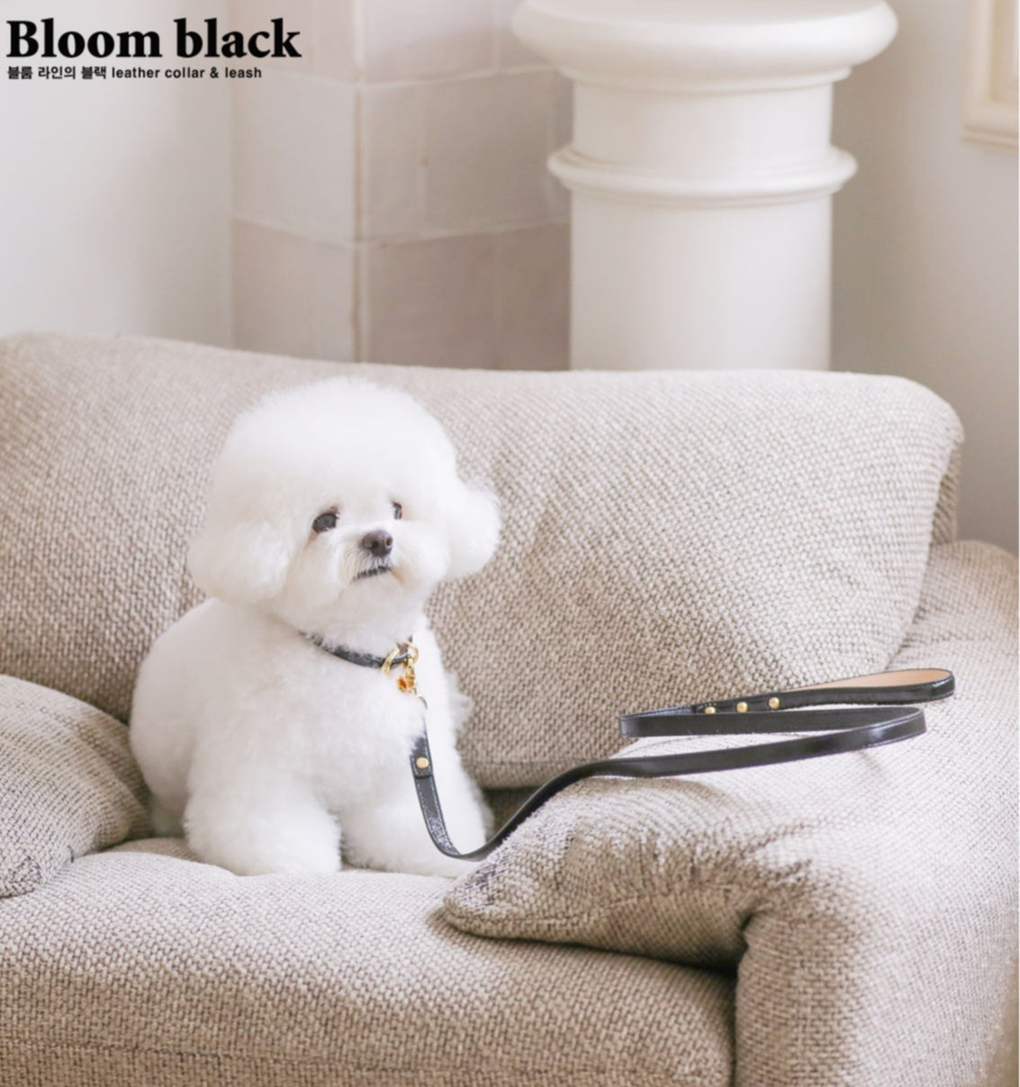 Bloom Leash - オールブラック