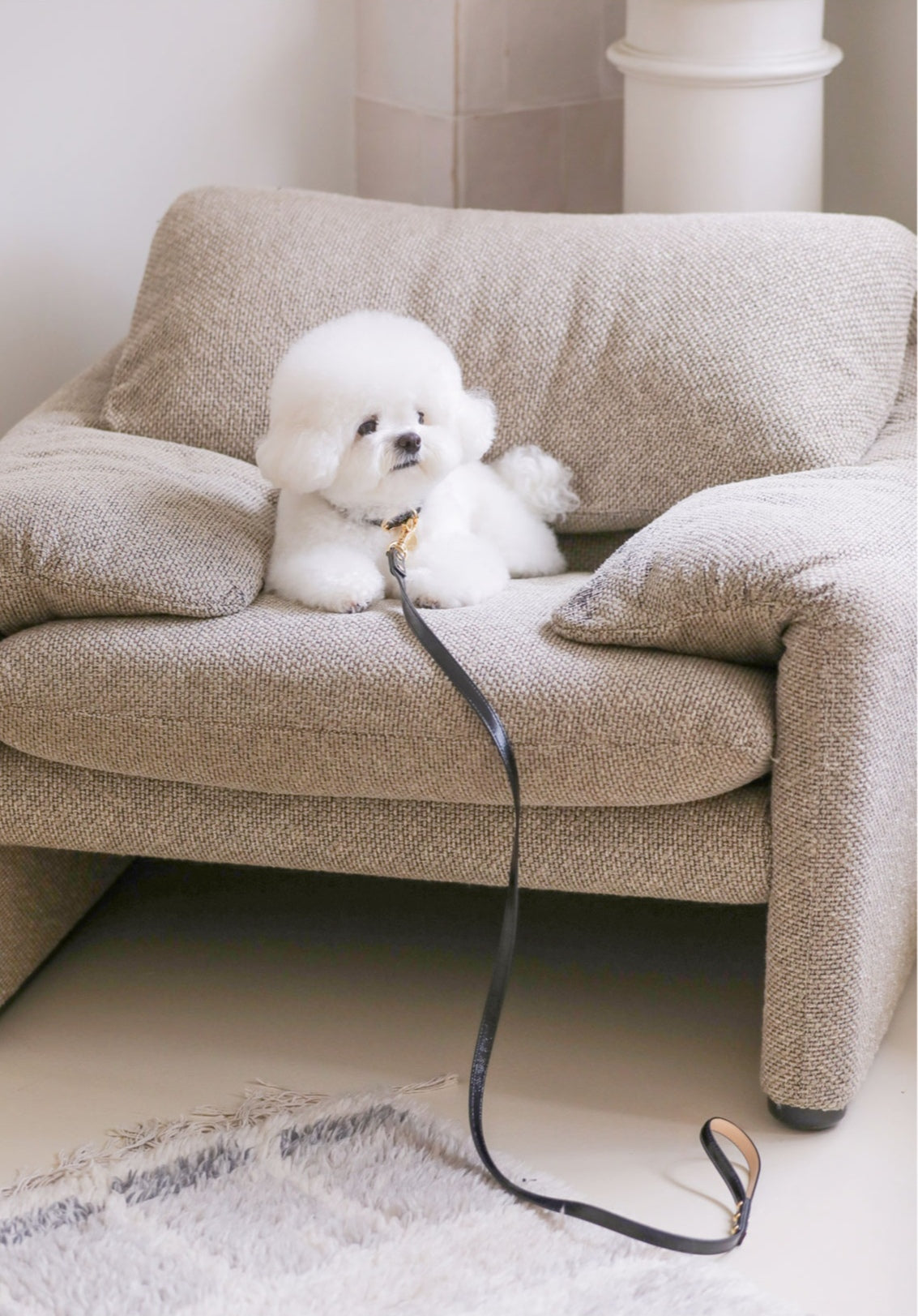 一部即納 Bloom Collar【迷子札】ブラック