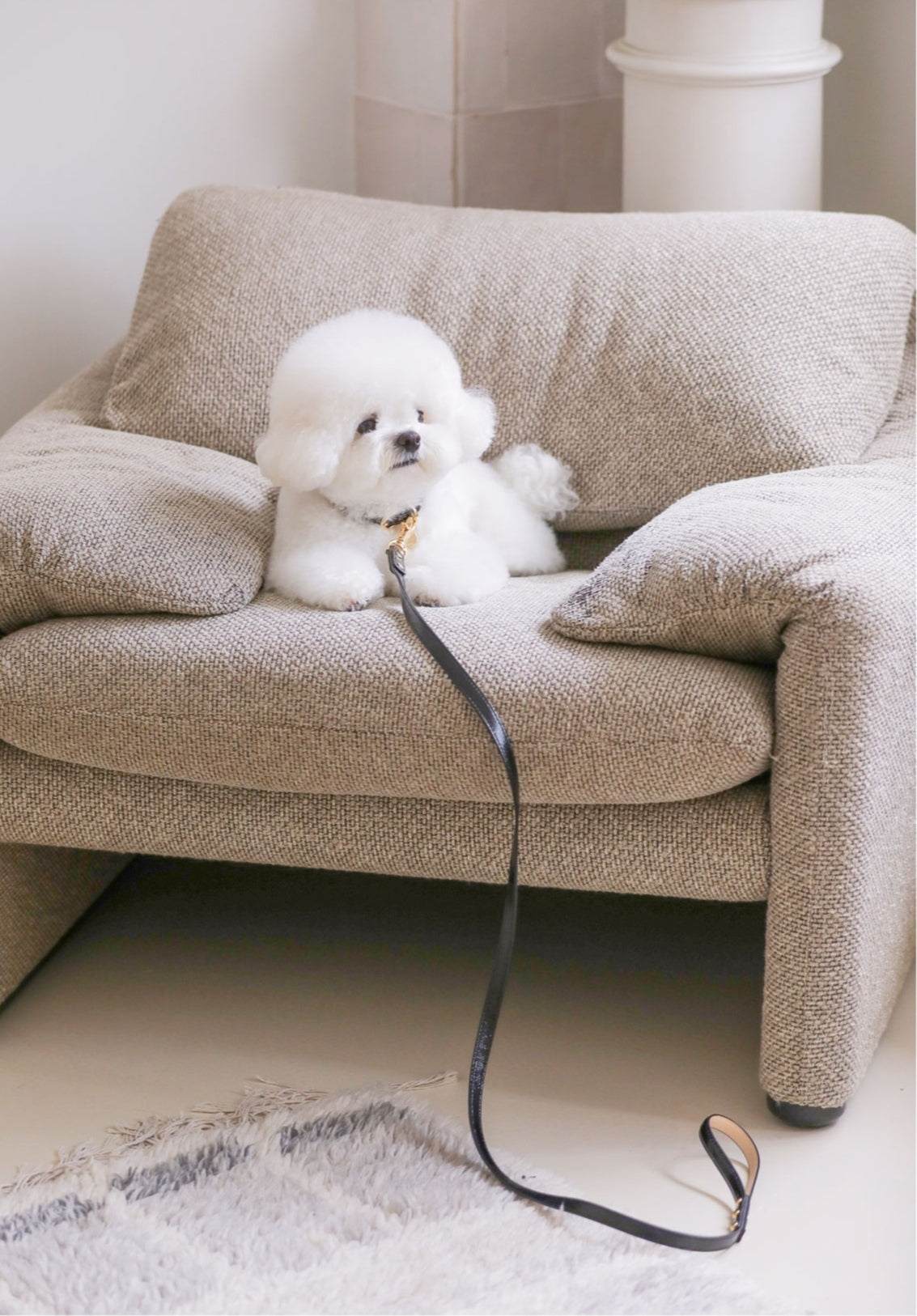 Bloom Leash - オールブラック