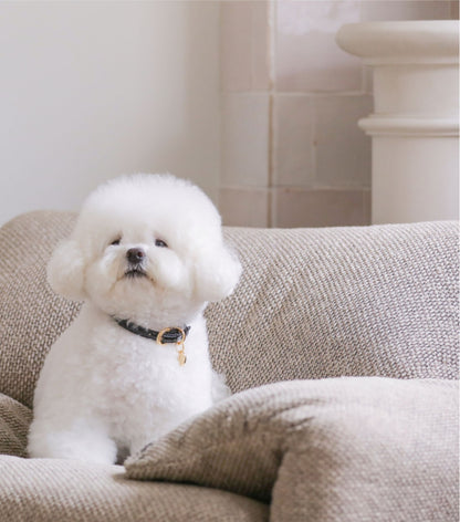 Bloom Leash - オールブラック