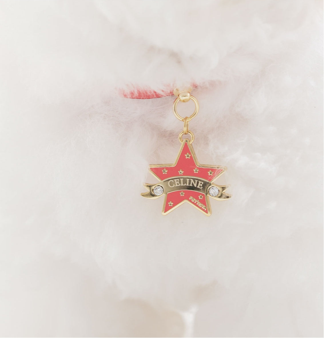 Bloom Collar × You Are My Star Pendant【迷子札】 タンゴオレンジ
