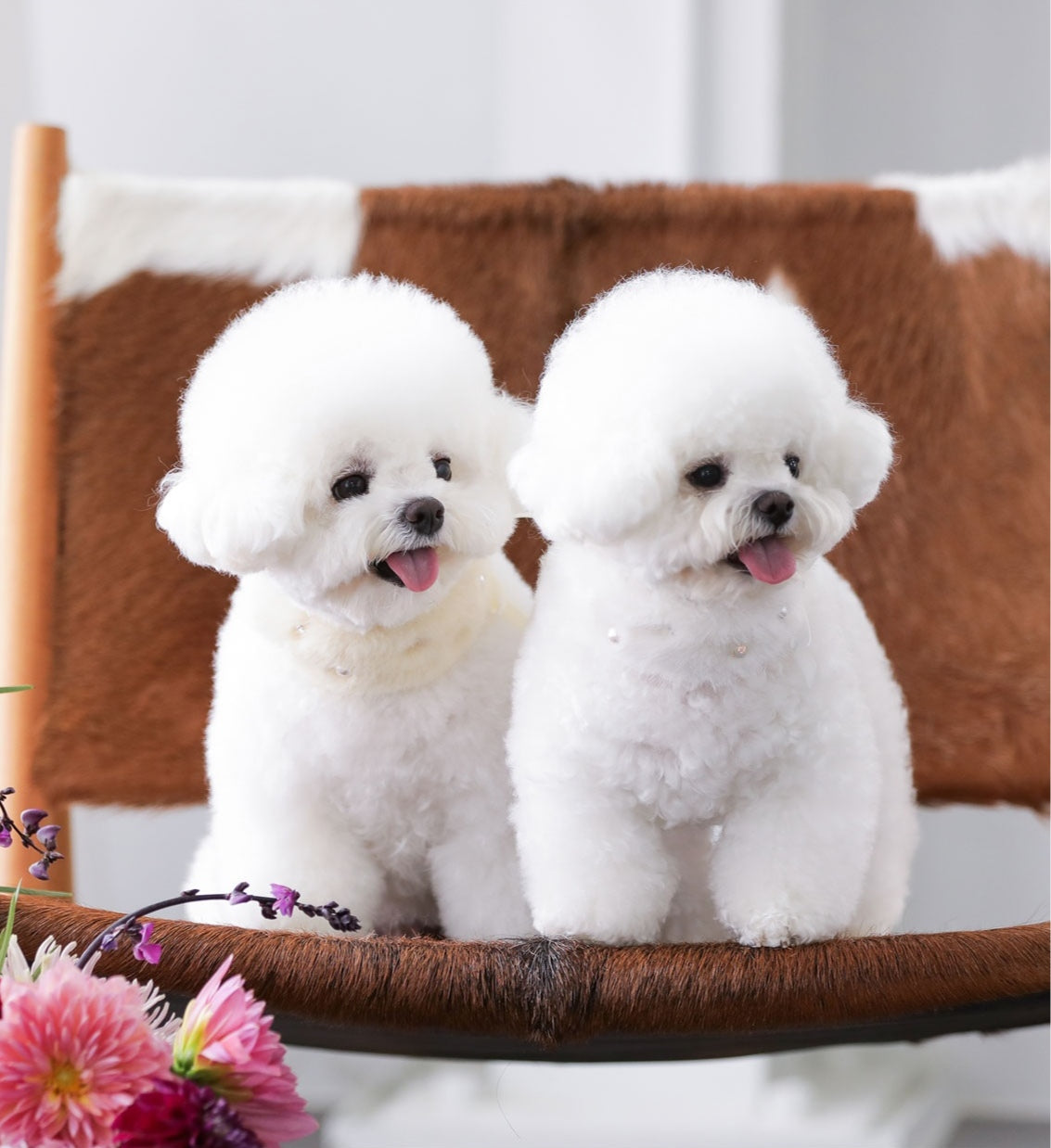 Eco Fur Pompom レモン