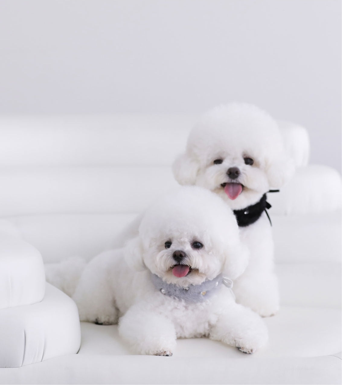 一部即納 Eco Fur Pompom グレー