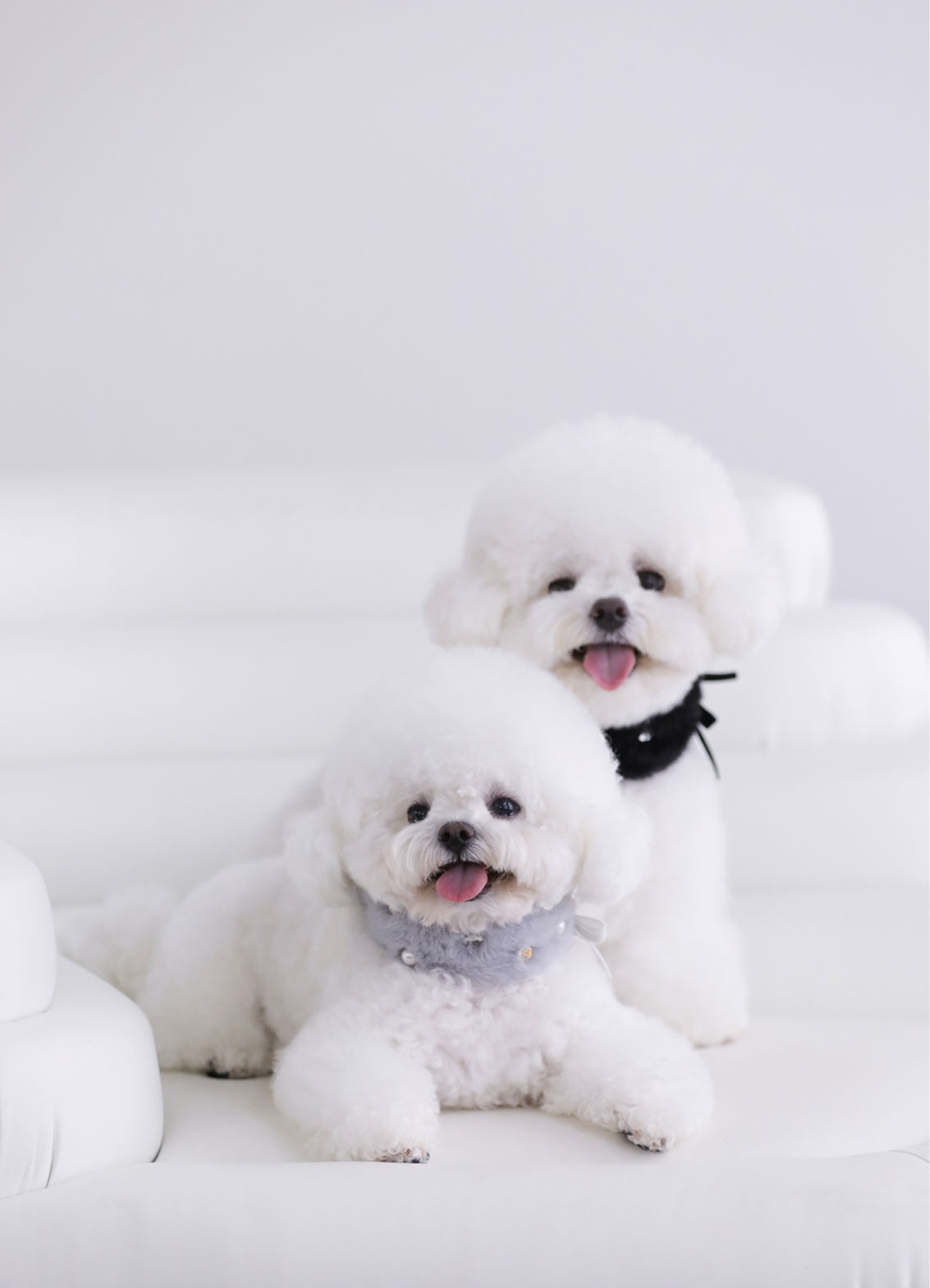 一部即納 Eco Fur Pompom グレー