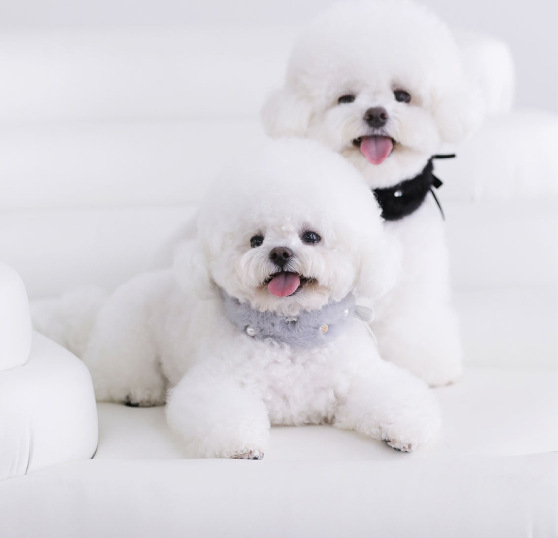 一部即納 Eco Fur Pompom グレー