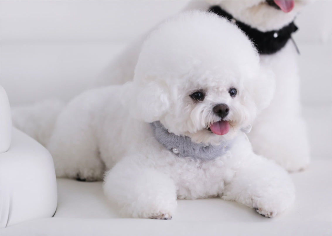 一部即納 Eco Fur Pompom グレー