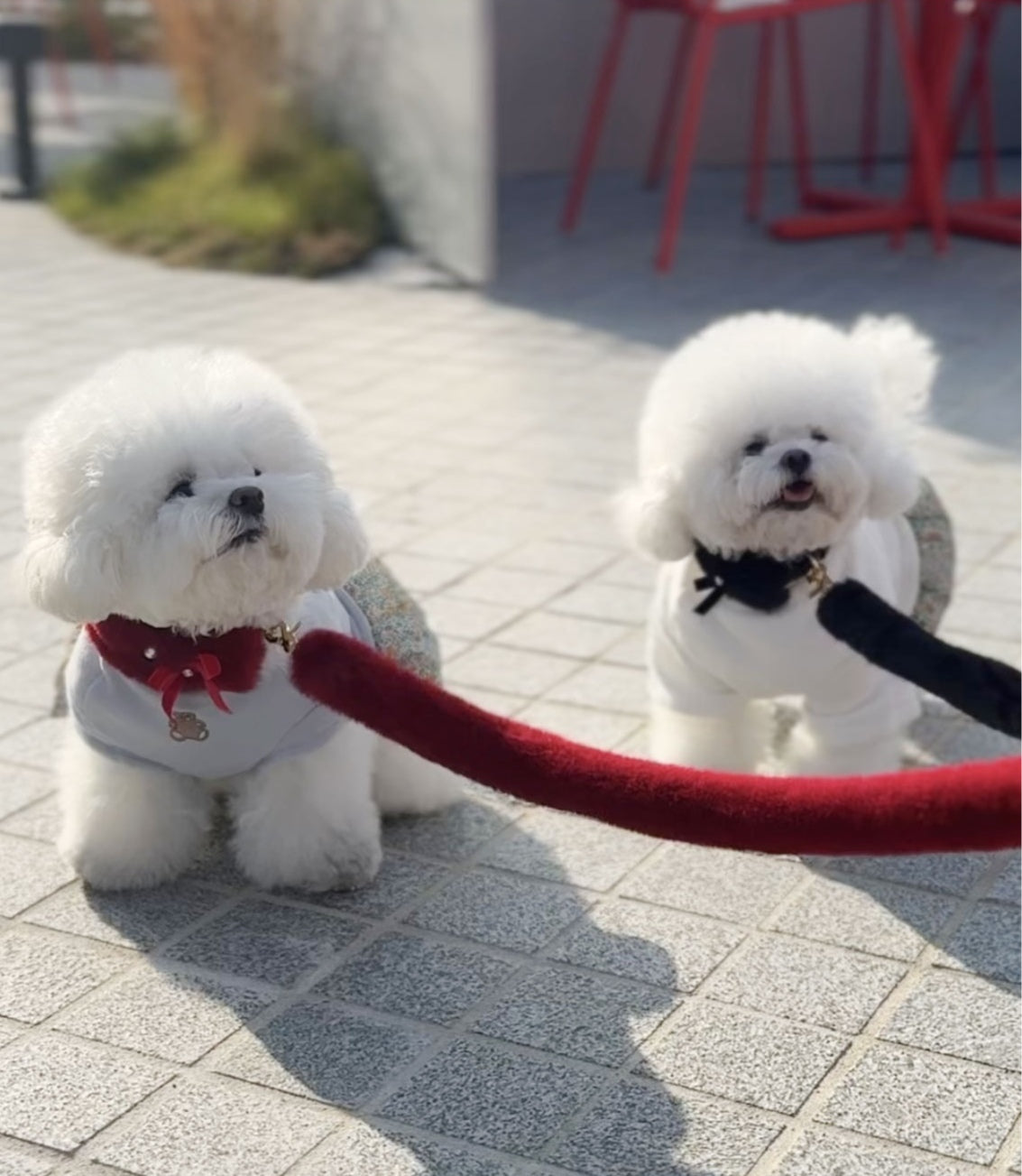 Eco Fur Pompom レッド