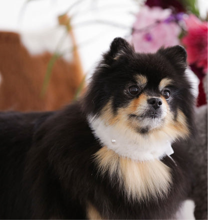 Eco Fur Pompom ホワイト