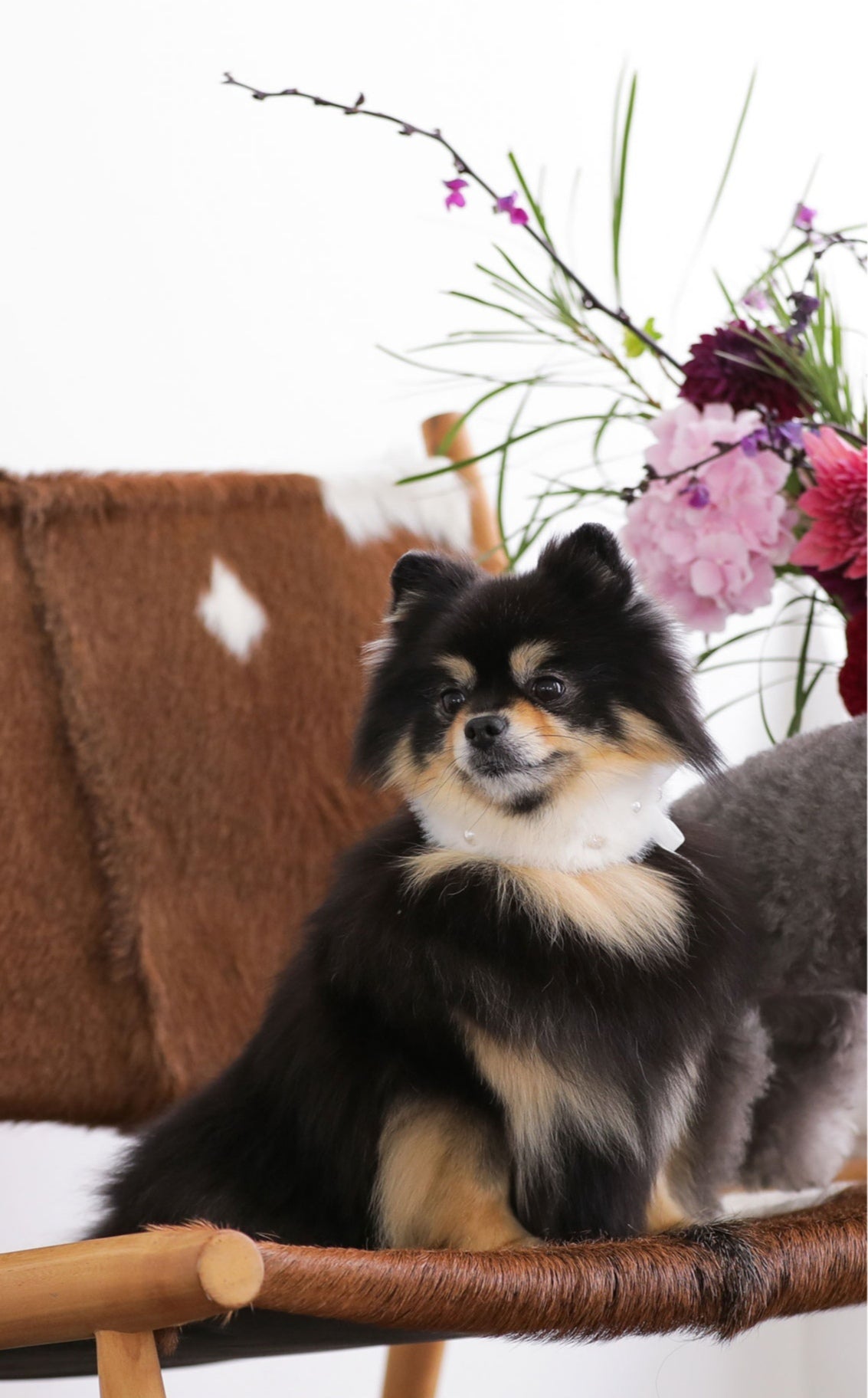 Eco Fur Pompom ホワイト