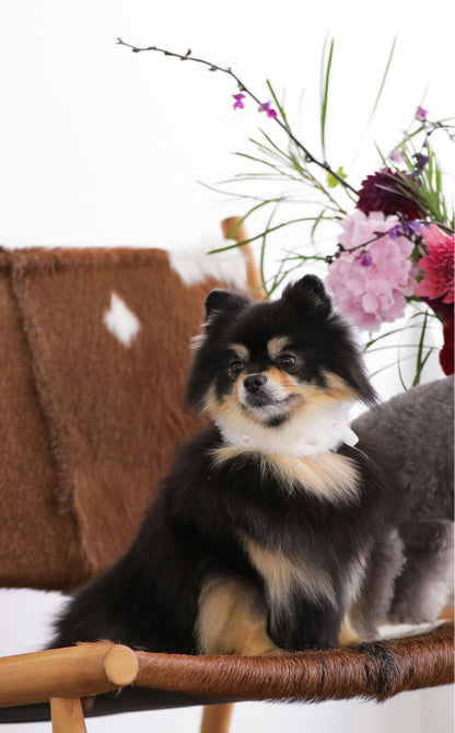 Eco Fur Pompom ホワイト