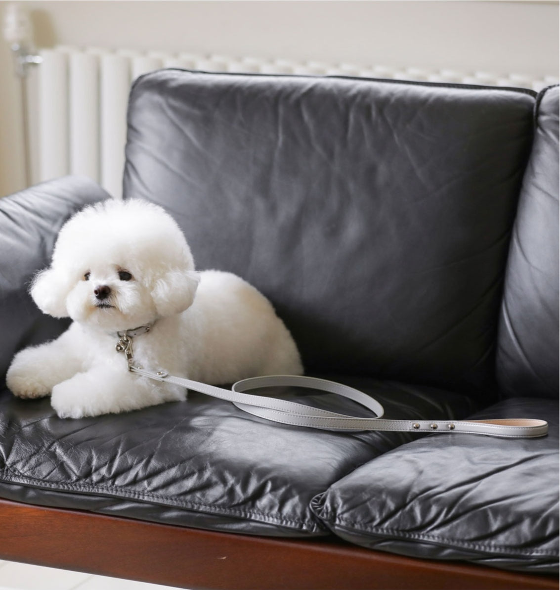 Bloom Leash - ミルクグレー