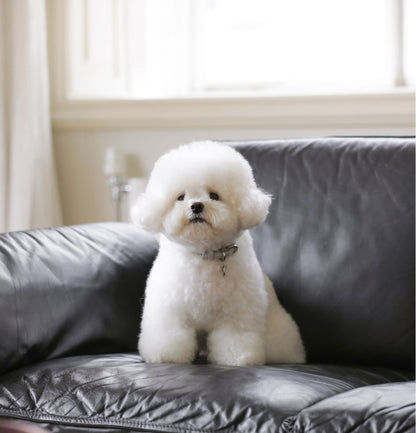 Bloom Leash - ミルクグレー