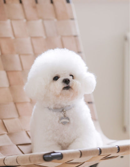 Bloom Collar × In My Heart Pendant【迷子札】 ミルクグレー