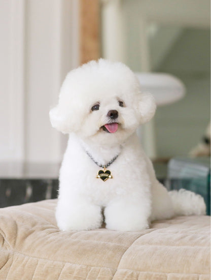 In My Heart Pearl Necklace【迷子札】全5色