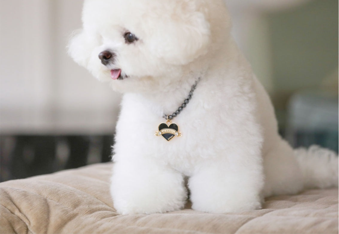 In My Heart Pearl Necklace【迷子札】全5色