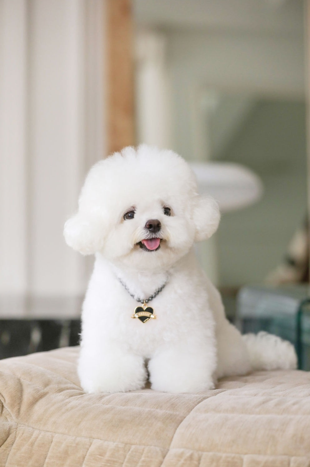 In My Heart Pearl Necklace【迷子札】全5色