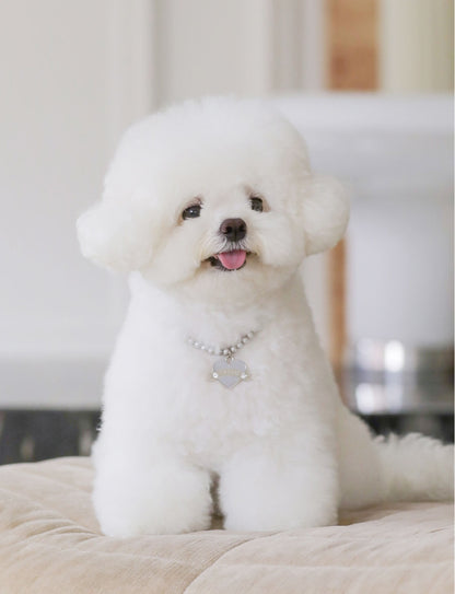 In My Heart Pearl Necklace【迷子札】全5色