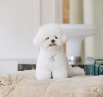 In My Heart Pearl Necklace【迷子札】全5色