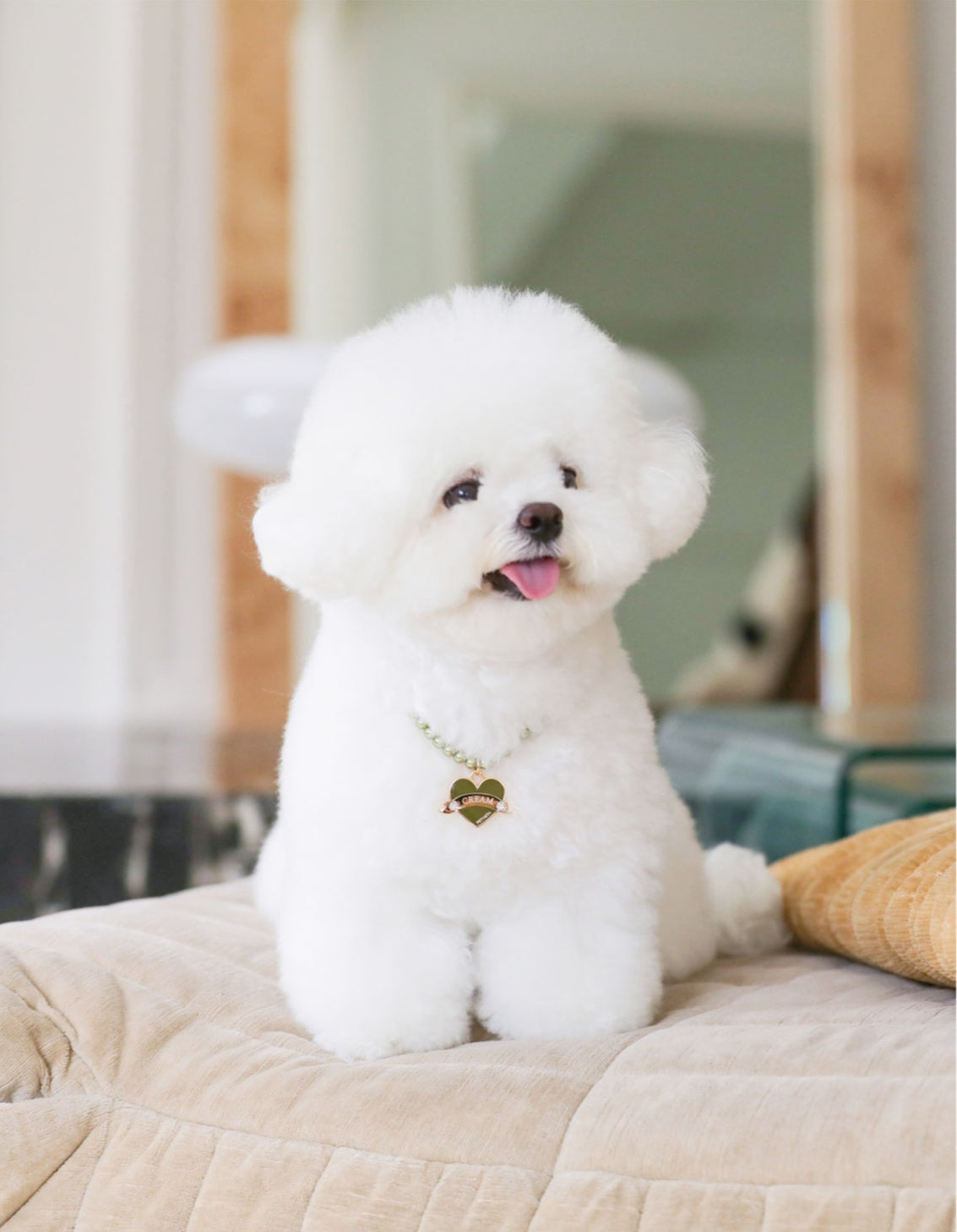 In My Heart Pearl Necklace【迷子札】全5色