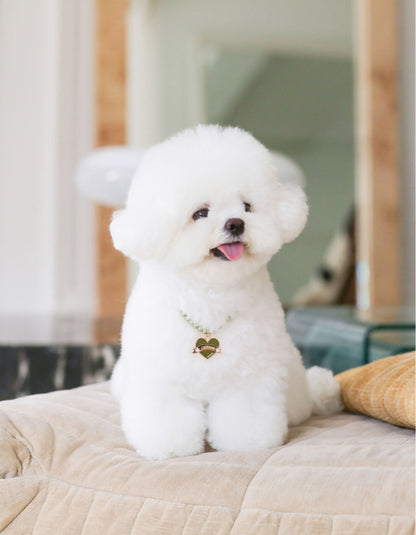 In My Heart Pearl Necklace【迷子札】全5色