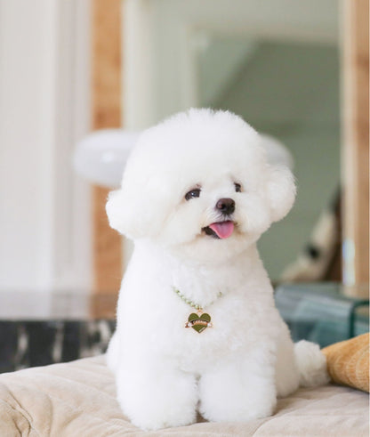 In My Heart Pearl Necklace【迷子札】全5色