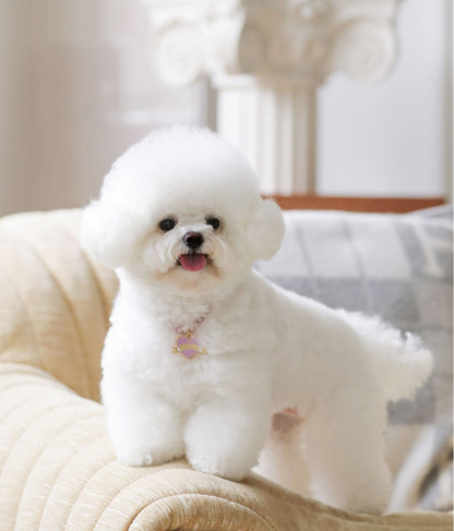 In My Heart Pearl Necklace【迷子札】全5色