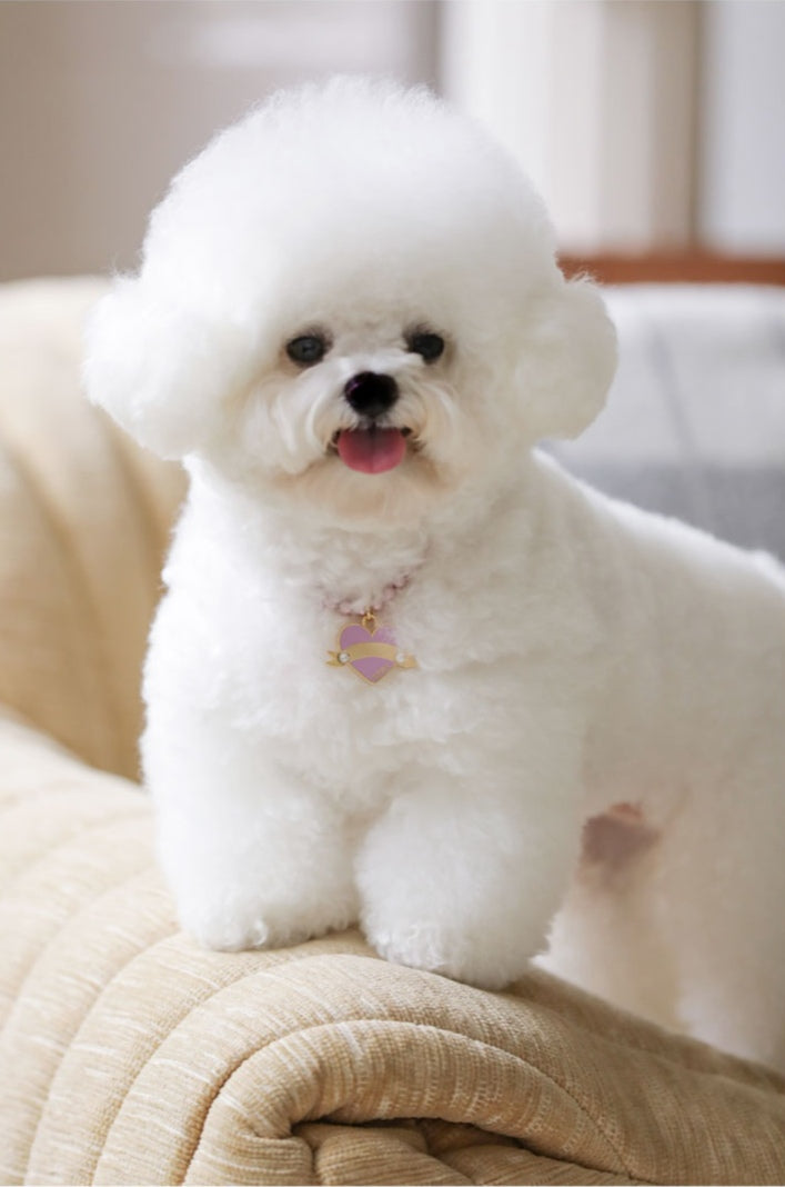 In My Heart Pearl Necklace【迷子札】全5色