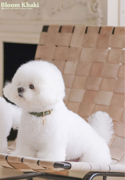 Bloom Collar【迷子札】カーキ