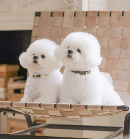 Bloom Leash - カーキ