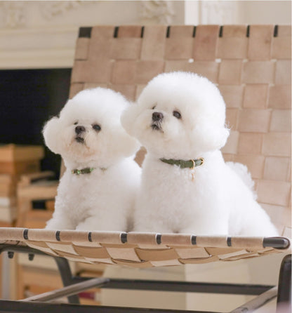 Bloom Collar【迷子札】カーキ