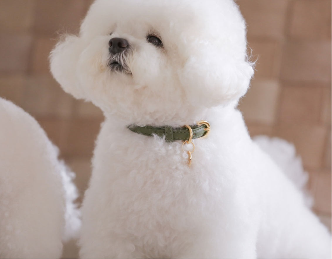 Bloom Leash - カーキ