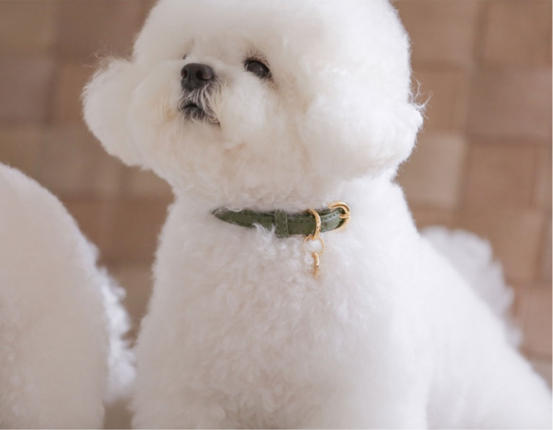 Bloom Collar【迷子札】カーキ