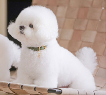 Bloom Collar【迷子札】カーキ