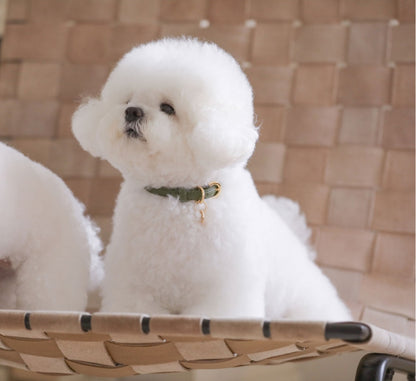 Bloom Collar【迷子札】カーキ