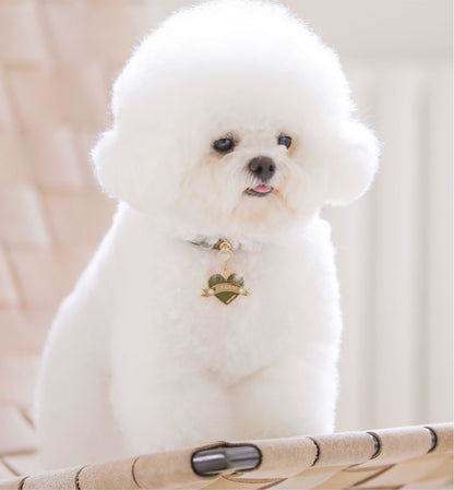 Bloom Collar × In My Heart Pendant【迷子札】 カーキ