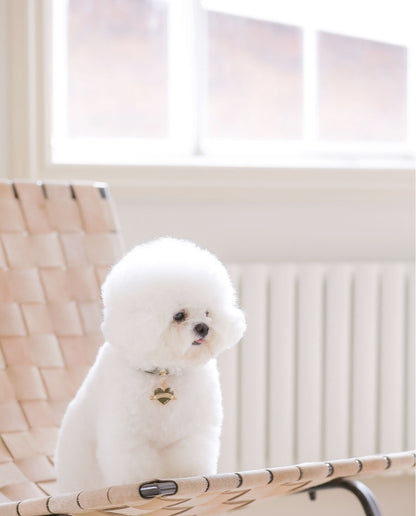 Bloom Collar × In My Heart Pendant【迷子札】 カーキ