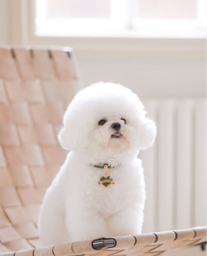 Bloom Collar × In My Heart Pendant【迷子札】 カーキ