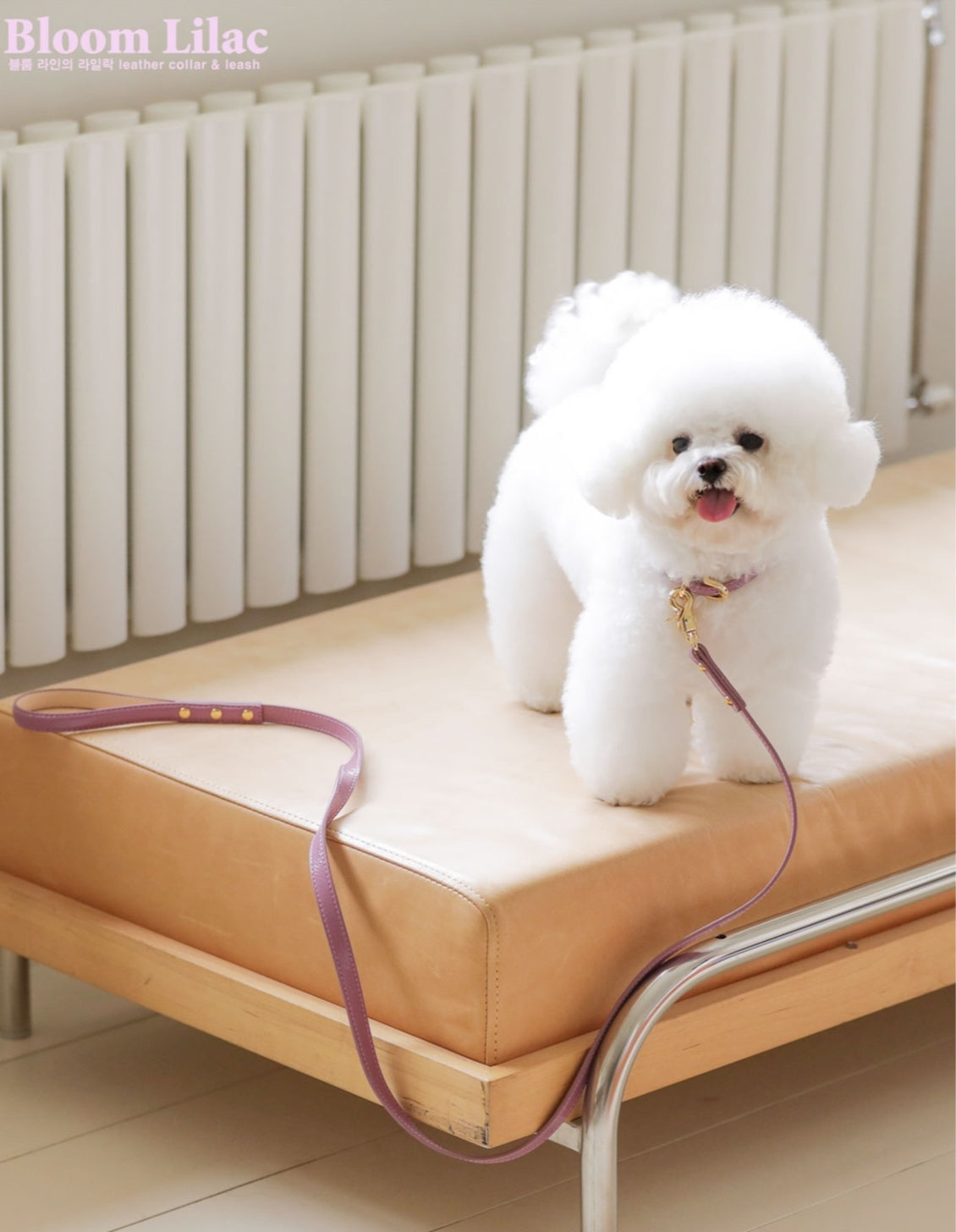 一部即納 Bloom Collar【迷子札】ライラック