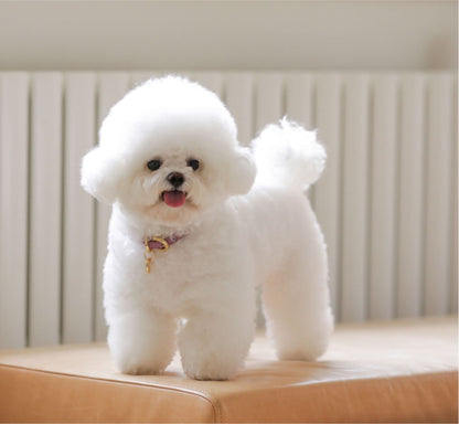 Bloom Leash - ライラック