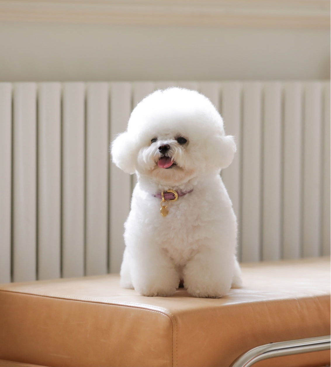 一部即納 Bloom Collar【迷子札】ライラック