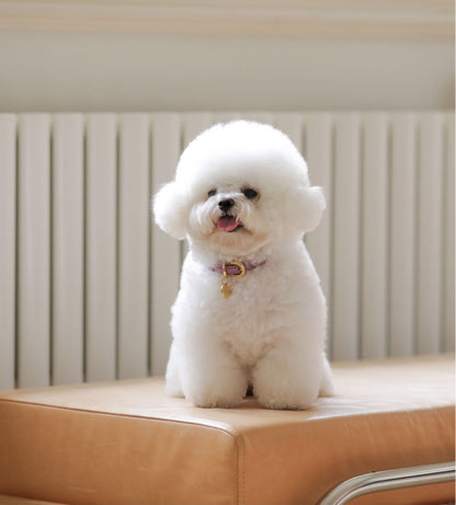 一部即納 Bloom Collar【迷子札】ライラック