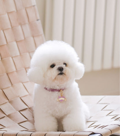 Bloom Collar × In My Heart Pendant【迷子札】 ライラック