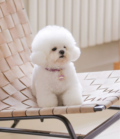 Bloom Collar × In My Heart Pendant【迷子札】 ライラック