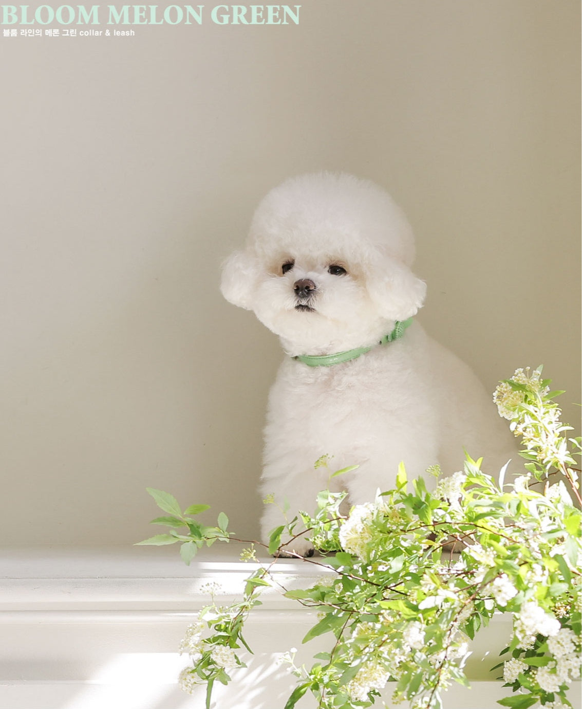 Bloom Leash メロングリーン