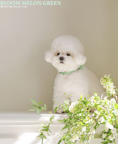 Bloom Leash メロングリーン