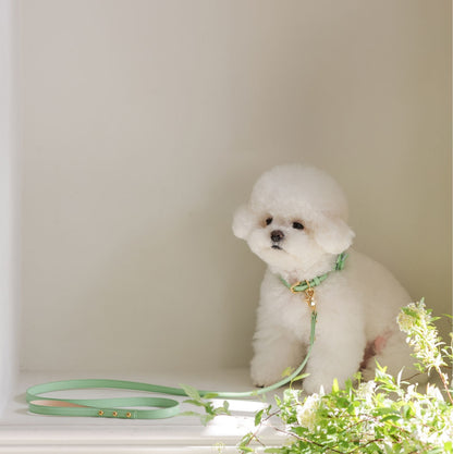 Bloom Leash メロングリーン