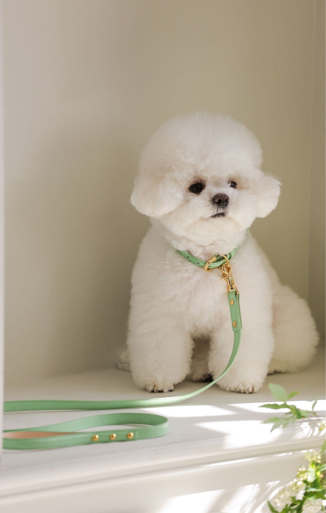 Bloom Leash メロングリーン