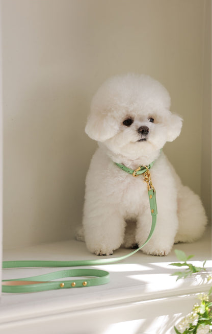 Bloom Leash メロングリーン