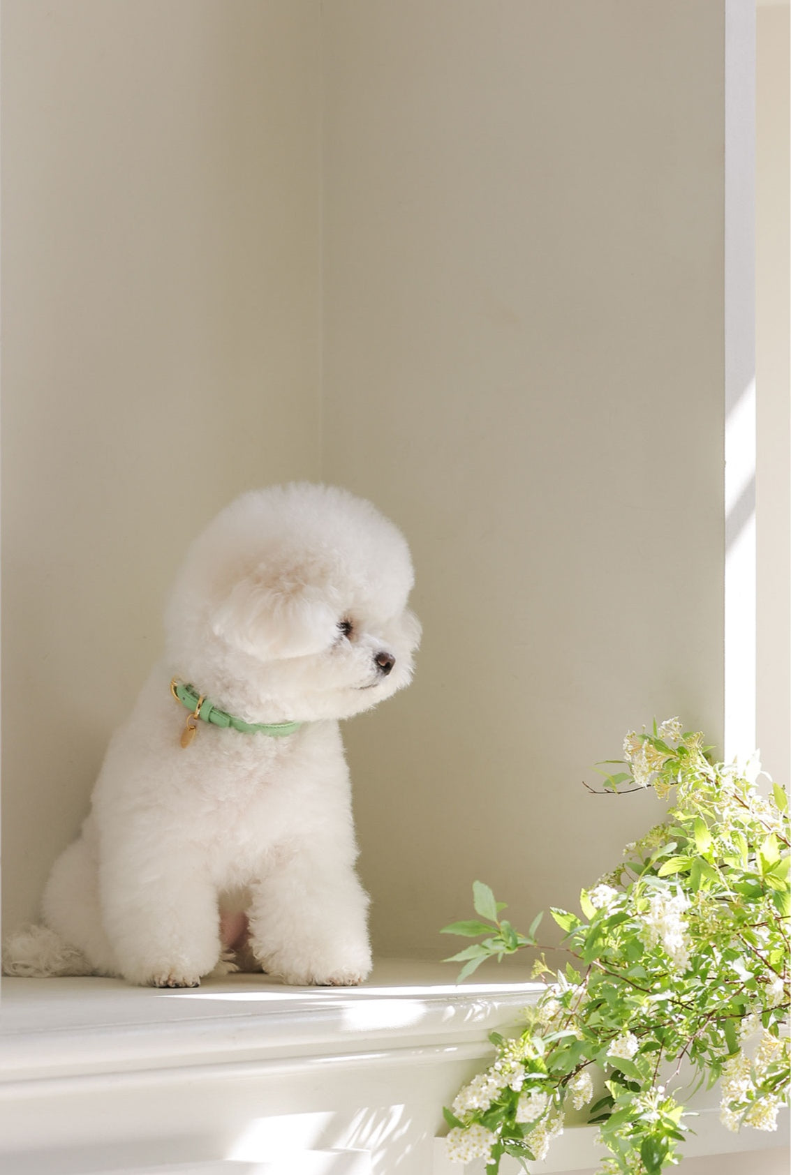 Bloom Leash メロングリーン