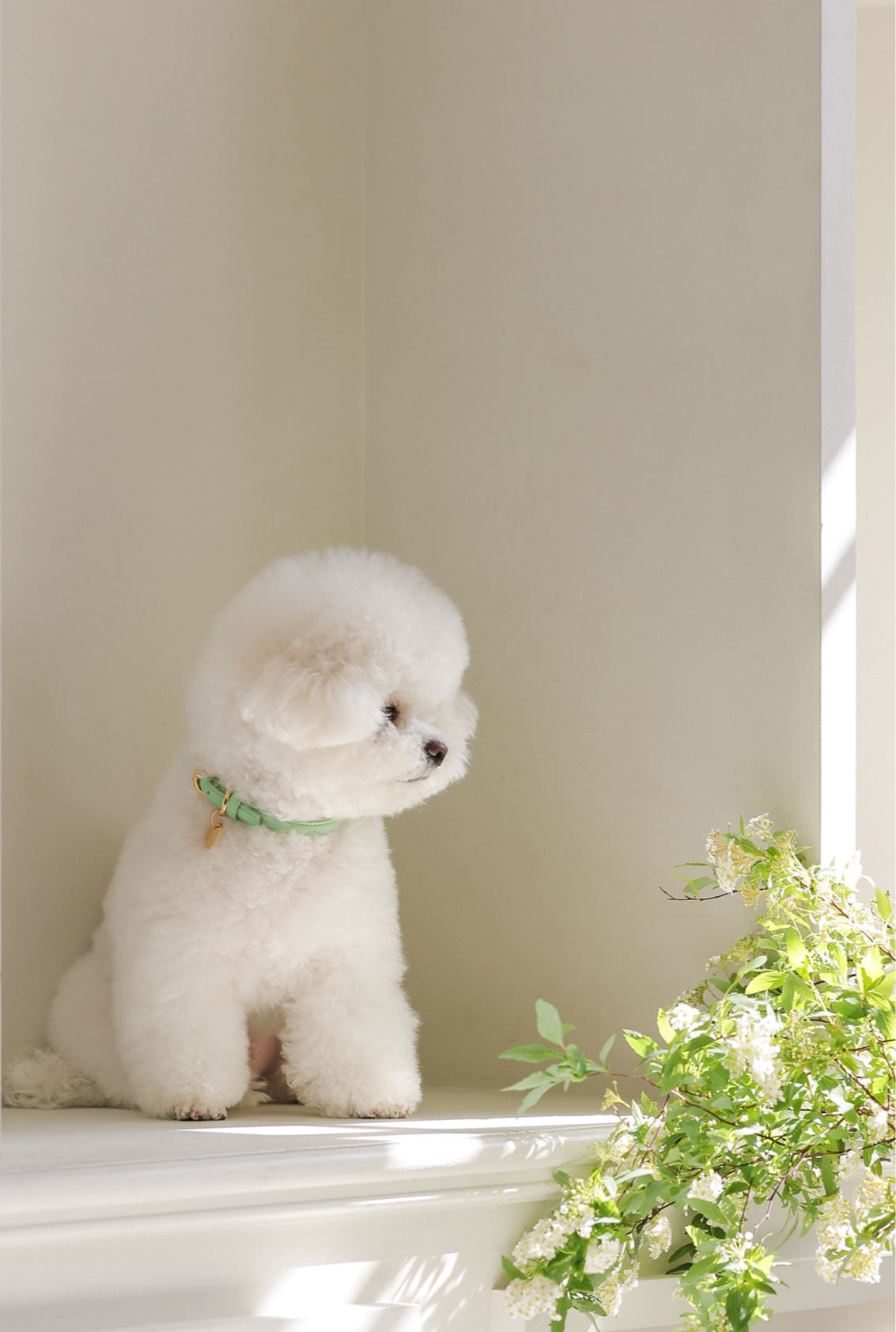 Bloom Collar【迷子札】メロングリーン